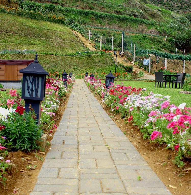Serene Villa Nuwara Eliya Dış mekan fotoğraf