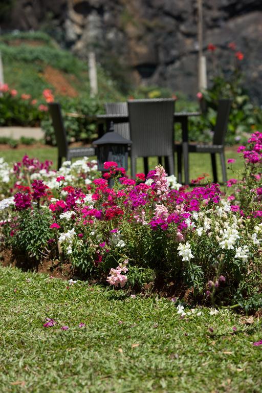 Serene Villa Nuwara Eliya Dış mekan fotoğraf